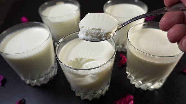 طريقة عمل الزبادي الطبيعي طريقة عمل الزبادي الطبيعي