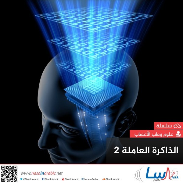 الذاكرة العاملة 2