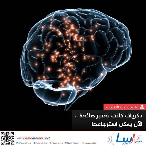 ذكريات كانت تعتبر ضائعة .. الآن يمكن استرجاعها