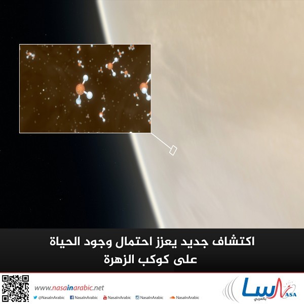 اكتشاف جديد يعزز احتمال وجود الحياة على كوكب الزهرة اكتشاف جديد يعزز احتمال وجود الحياة على كوكب الزهرة