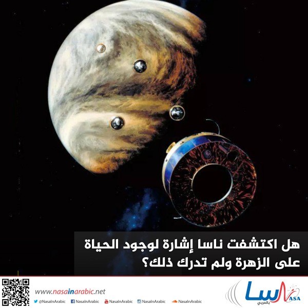 هل اكتشفت ناسا إشارة لوجود الحياة على الزهرة ولم تدرك ذلك؟