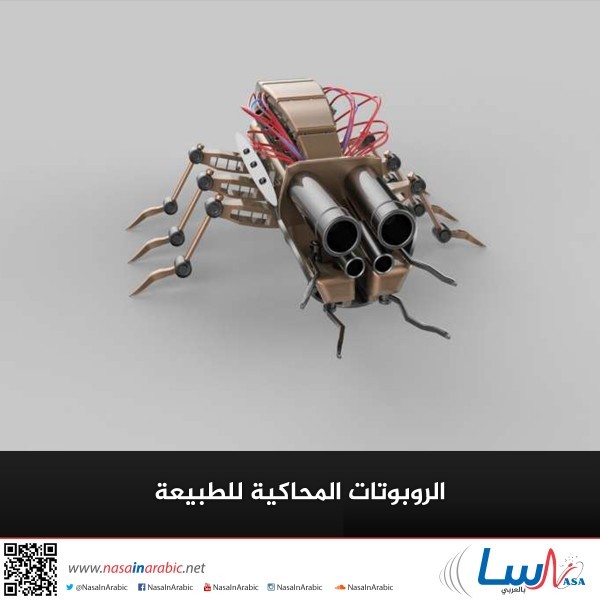 الروبوتات المحاكية للطبيعة