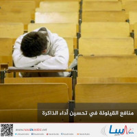منافع القيلولة في تحسين أداء الذاكرة منافع القيلولة في تحسين أداء الذاكرة