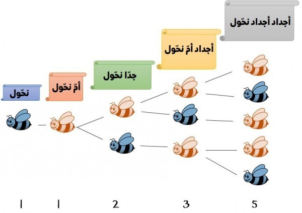 ما هو يوم فيبوناتشي؟ وكيف يحتفل الرياضيون به؟ ما هو يوم فيبوناتشي؟ وكيف يحتفل الرياضيون به؟