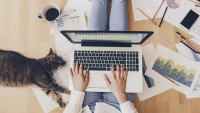 العمل عن بعد بين الرفاهية المفرطة وإضاعة الوقت.. ما هي أبرز المشاكل المحتملة وكيف تواجهها بكفاءة وفعالية؟ العمل عن بعد بين الرفاهية المفرطة وإضاعة الوقت.. ما هي أبرز المشاكل المحتملة وكيف تواجهها بكفاءة وفعالية؟