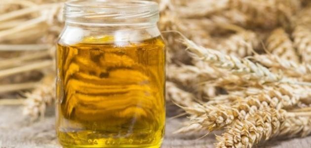 فوائد زيت جنين القمح للخطوط البيضاء