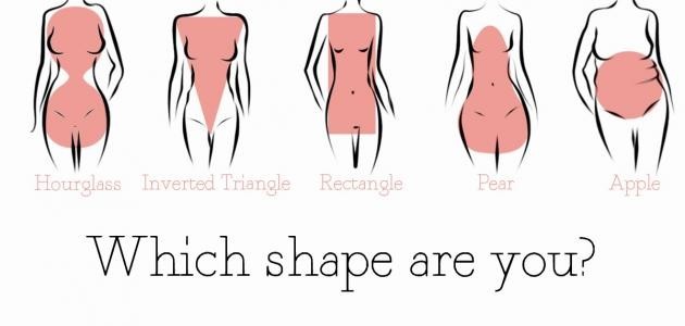 أنواع الأجسام أنواع الأجسام