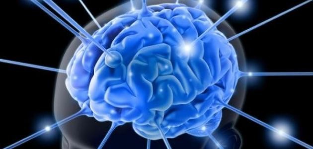 الفرق بين العلم والمعرفة الفرق بين العلم والمعرفة