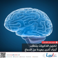 تخزين الذكريات يتطلب أجزاء أخرى بعيدة من الدماغ تخزين الذكريات يتطلب أجزاء أخرى بعيدة من الدماغ