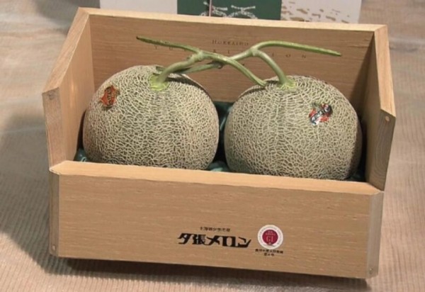 بطيخ يوباري بطيخ يوباري