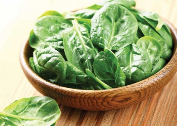 فوائد السلق للقولون فوائد السلق للقولون