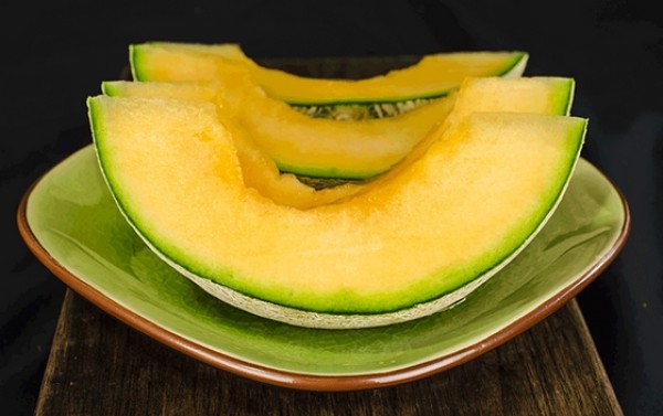 الخربز وقت الدورة الخربز وقت الدورة