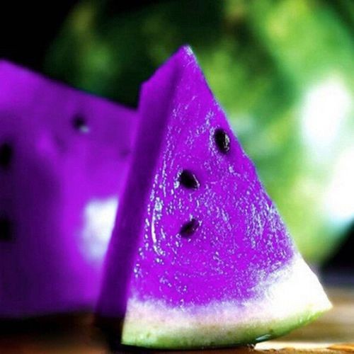 بطيخ بنفسجي بطيخ بنفسجي