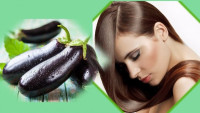 فوائد الباذنجان للشعر الأبيض فوائد الباذنجان للشعر الأبيض