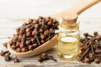 فوائد القرنفل للنوم فوائد القرنفل للنوم