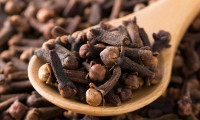 فوائد القرنفل تحت اللسان