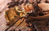 القرنفل وسيولة الدم القرنفل وسيولة الدم