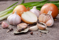 فوائد البصل للقولون فوائد البصل للقولون