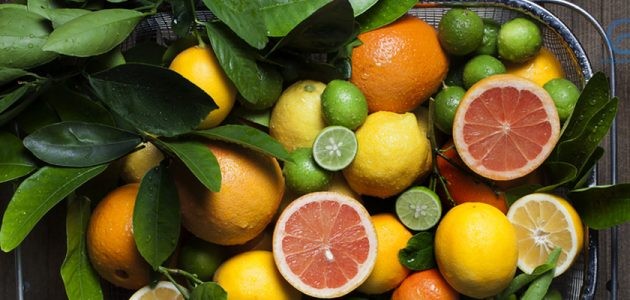 عائلة الحمضيات عائلة الحمضيات