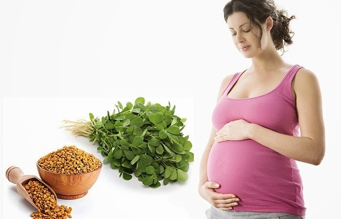 فوائد الحلبة للحمل الضعيف فوائد الحلبة للحمل الضعيف