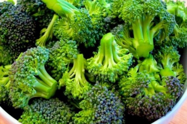 أنواع البروكلي بالصور أنواع البروكلي بالصور