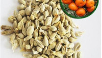 فائدة بذور اليوسفي فائدة بذور اليوسفي