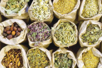 أعشاب سريعة المفعول للحمل أعشاب سريعة المفعول للحمل