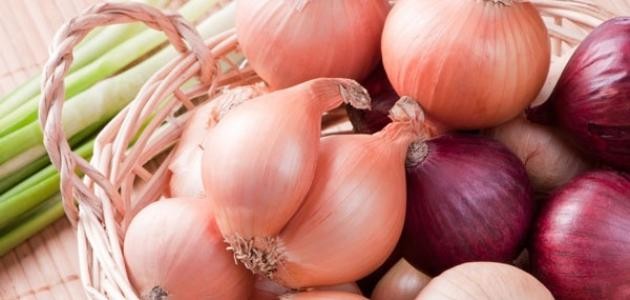 فوائد البصل للكلى فوائد البصل للكلى