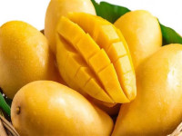 أضرار المانجو على الكلى أضرار المانجو على الكلى