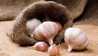 فوائد الثوم واضراره فوائد الثوم واضراره
