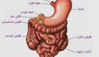 امراض الجهاز الهضمي واعراضها امراض الجهاز الهضمي واعراضها