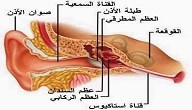 امراض الاذن واعراضها امراض الاذن واعراضها