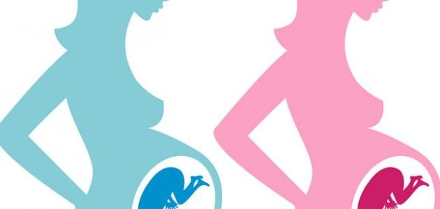 طريقة حسابية لمعرفة نوع الجنين طريقة حسابية لمعرفة نوع الجنين