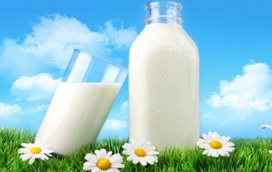 معلومات عن الحليب معلومات عن الحليب