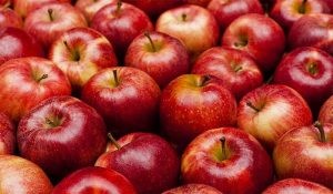 ماهي الفواكه التي تنشط المبايض ماهي الفواكه التي تنشط المبايض