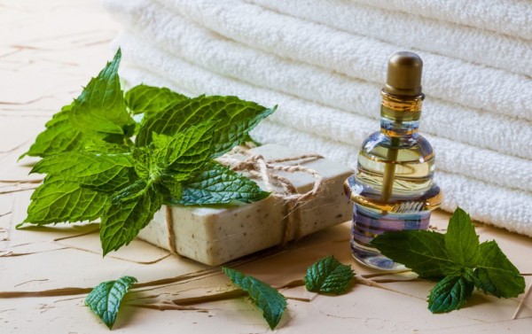 أعشاب مفيدة للأعصاب أعشاب مفيدة للأعصاب