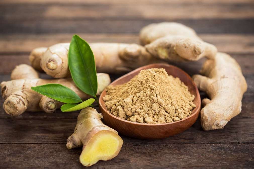 الجنسنج والزنجبيل الجنسنج والزنجبيل