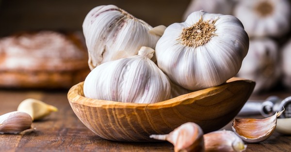فوائد الثوم للكلى فوائد الثوم للكلى