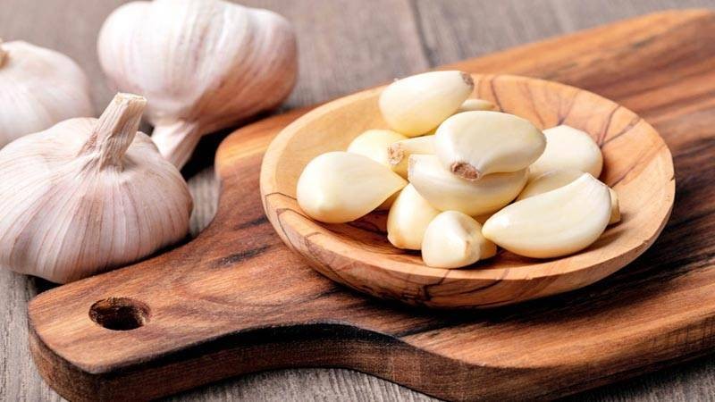 فوائد اليانسون للمثانة فوائد اليانسون للمثانة