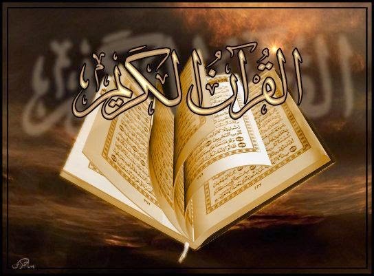 كم عدد احزاب القران الكريم