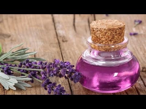 كيفية استخراج الزيوت من الاعشاب كيفية استخراج الزيوت من الاعشاب
