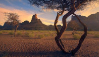 اهم الثروات الطبيعية في المملكة العربية السعودية اهم الثروات الطبيعية في المملكة العربية السعودية