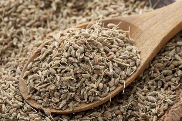 فوائد اليانسون للتنحيف فوائد اليانسون للتنحيف