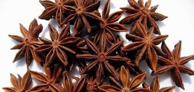 ماهي عشبة نجم الأرض