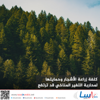 كلفة زراعة الأشجار وحمايتها لمحاربة التغير المناخي قد ترتفع كلفة زراعة الأشجار وحمايتها لمحاربة التغير المناخي قد ترتفع