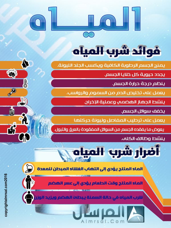 فوائد واضرار الماء والاوقات الصحيحة لشربه