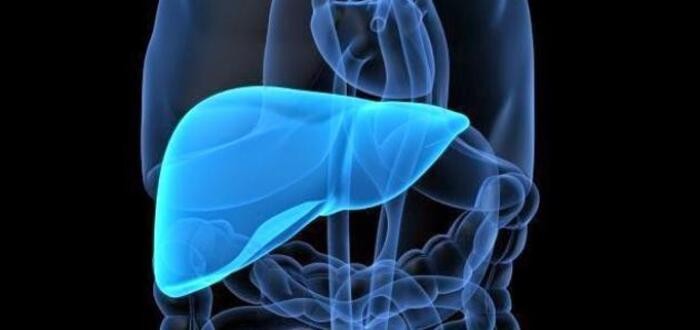 أسهل طريقة لإزالة دهون الكبد .. ” رياضة – حمية “ أسهل طريقة لإزالة دهون الكبد .. ” رياضة – حمية “