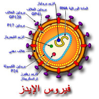 اعراض وعلاج الايدز اعراض وعلاج الايدز