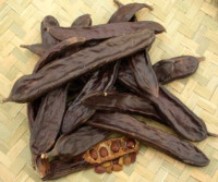 فوائد الخروب
