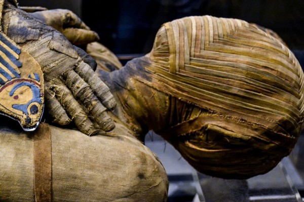 أنواع التحنيط والمواد المستخدمة به